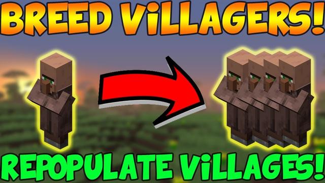 Comment Reconstruire Un Village Dans Minecraft