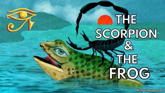 L'histoire intrigante du scorpion et de la grenouille