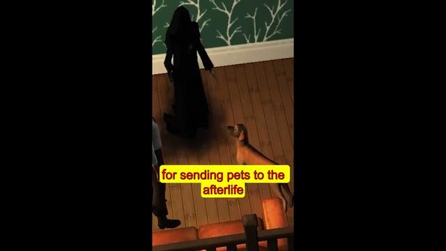 Contrôleur De Scooter électrique Haute Performance